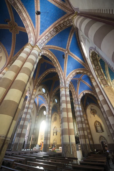 Cathedral of Alba (Cuneo, Italy), interior — Stock Photo, Image