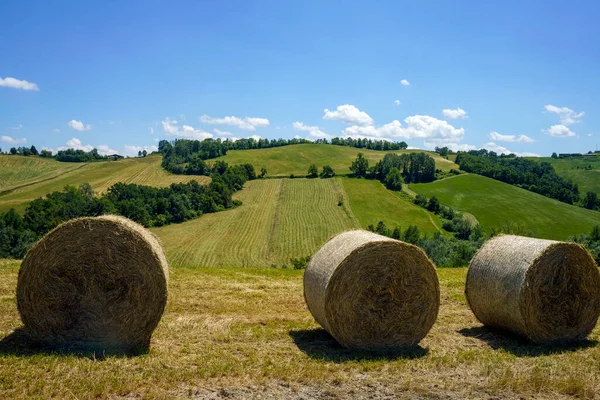 Αγροτικό Τοπίο Κοντά Στη Sala Baganza Και Fornovo Επαρχία Parma — Φωτογραφία Αρχείου