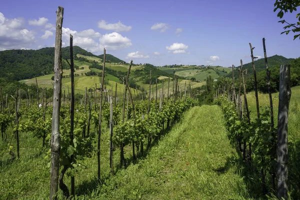 Paesaggio Rurale Vicino Salsomaggiore Fornovo Provincia Parma Emilia Romagna Italia — Foto Stock