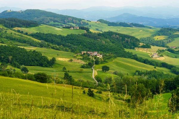 Landschaft Der Nähe Von Pellegrino Parmense Und Salsomaggiore Provinz Parma — Stockfoto