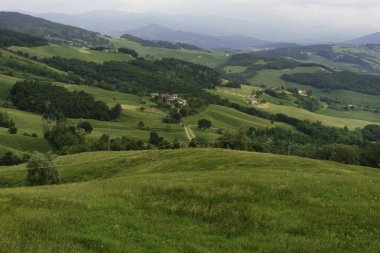 İlkbaharda Pellegrino Parmense ve Salsomaggiore yakınlarındaki kırsal alan, Parma ili, Emilia-Romagna, İtalya