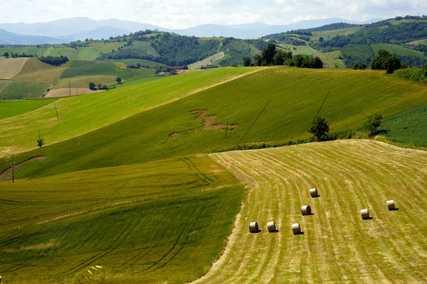 Landskap Nära Salsomaggiore Och Fornovo Parmaprovinsen Emilia Romagna Italien Våren — Stockfoto