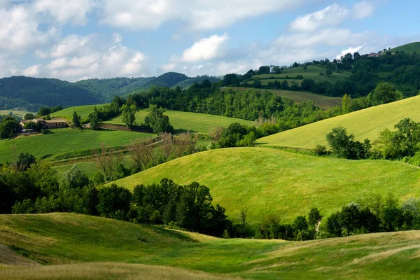 Landschaft Der Nähe Von Salsomaggiore Provinz Parma Emilia Romagna Italien — Stockfoto