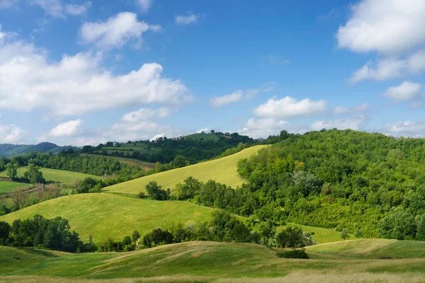 Paisaje Rural Cerca Salsomaggiore Provincia Parma Emilia Romaña Italia Primavera —  Fotos de Stock