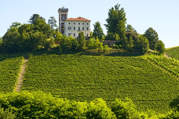 Paisagem de verão em Langhe (Itália ) — Fotografia de Stock