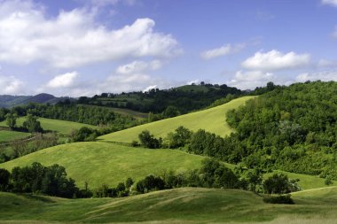 İlkbaharda Salsomaggiore, Parma, Emilia-Romagna, İtalya yakınlarındaki kır manzarası