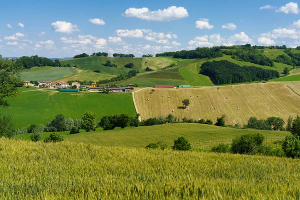 意大利埃米利亚 罗马纳帕尔马省Sala Baganza和Torrechiara附近的国家景观 — 图库照片