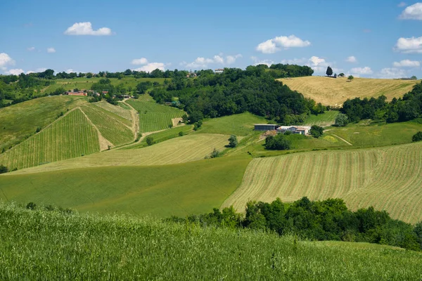 Paisaje Rural Cerca Sala Baganza Torrechiara Provincia Parma Emilia Romaña — Foto de Stock