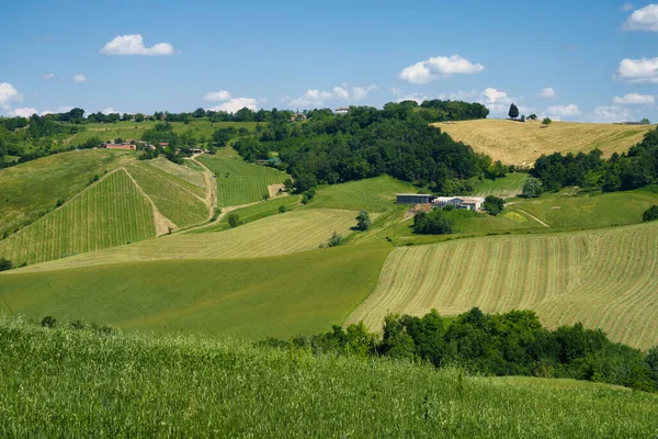 Lkbaharda Sala Baganza Torrechiara Parma Ili Emilia Romagna Talya Yakınlarındaki — Stok fotoğraf