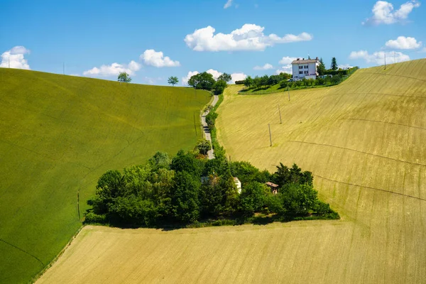 Paisagem Rural Perto Sala Baganza Torrechiara Província Parma Emília Romanha — Fotografia de Stock