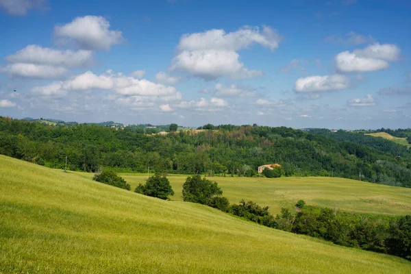 Lkbaharda Salsomaggiore Parma Emilia Romagna Talya Yakınlarındaki Kır Manzarası — Stok fotoğraf