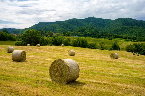 Paisaje Rural Primavera Cerca Riolo Canossa Provincia Reggio Emilia Emilia —  Fotos de Stock