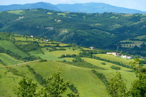 Paisagem Rural Primavera Perto San Polo Canossa Província Reggio Emilia — Fotografia de Stock