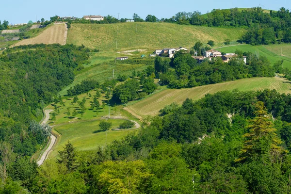 Landschap Het Voorjaar Bij Rivalta Lesignano Bagni Parma Emilia Romagna — Stockfoto