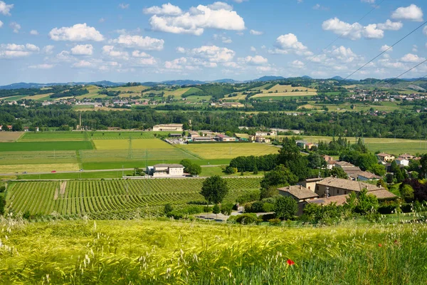 Lkbaharda Talya Nın Parma Eyaleti Torrechiara Ortaçağ Kalesi Yakınlarındaki Manzara — Stok fotoğraf