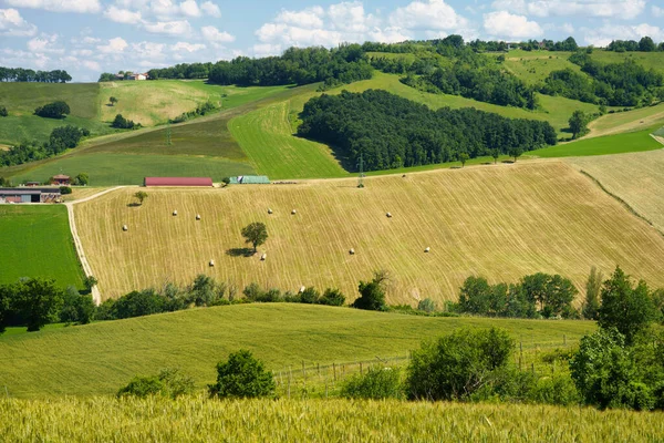 Krajobraz Wiejski Pobliżu Sala Baganza Torrechiara Prowincja Parma Emilia Romania — Zdjęcie stockowe