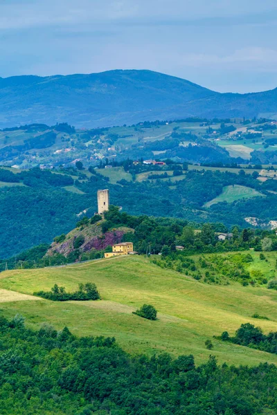 Landskap Våren Nära San Polo Och Canossa Reggio Emilia Provinsen — Stockfoto