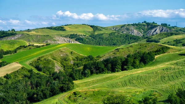 Krajobraz Wiejski Wiosną Rivalta Lesignano Bagni Parma Emilia Romania Włochy — Zdjęcie stockowe