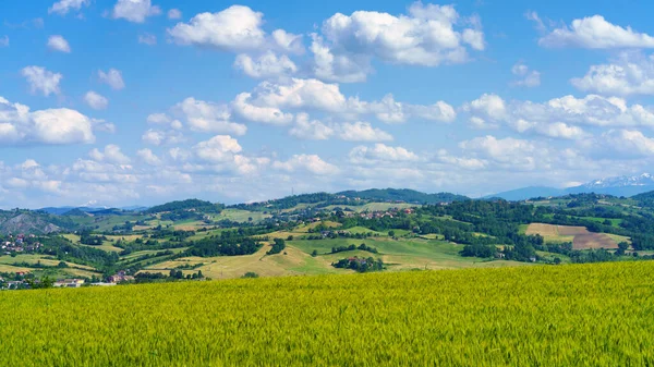 Landskap Nära Det Medeltida Slottet Torrechiara Parmaprovinsen Emilia Romagna Italien — Stockfoto