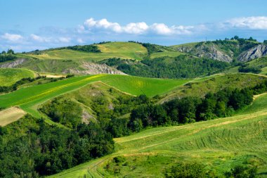 Rivalta di Lesignano Bagni, Parma, Emilia-Romagna, İtalya 'da ilkbaharda kır manzarası