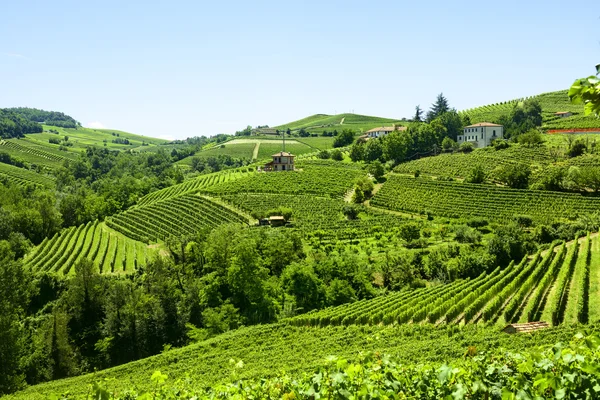 Paisaje de verano en Langhe (Italia) ) —  Fotos de Stock