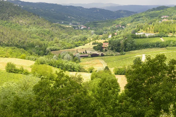 Sommerlandschaft in monferrato (italien) — Stockfoto