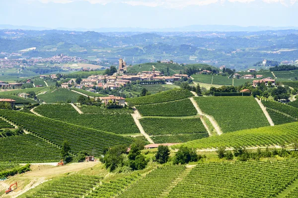 Sommar landskap i langhe (Italien) — Stockfoto