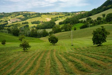 Riolo ve Canossa yakınlarındaki kırsal alan, Reggio Emilia, Emilia-Romagna, İtalya