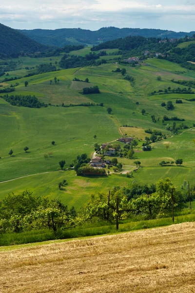 意大利埃米利亚 罗马纳Reggio Emilia省Riolo和Canossa附近春季的国家景观 — 图库照片