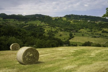 Riolo ve Canossa yakınlarındaki kırsal alan, Reggio Emilia, Emilia-Romagna, İtalya