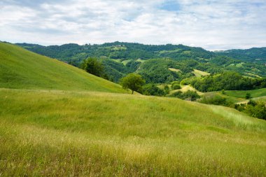 Riolo ve Canossa yakınlarındaki kırsal alan, Reggio Emilia, Emilia-Romagna, İtalya