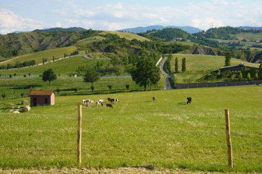 Rivalta di Lesignano Bagni, Parma, Emilia-Romagna, İtalya 'da ilkbaharda kır manzarası
