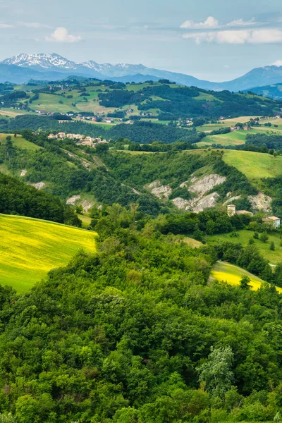 Paisaje Rural Primavera Cerca San Polo Canossa Provincia Reggio Emilia —  Fotos de Stock