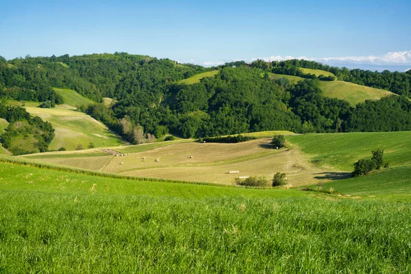 Paisaje Rural Primavera Rivalta Lesignano Bagni Parma Emilia Romagna Italia — Foto de Stock