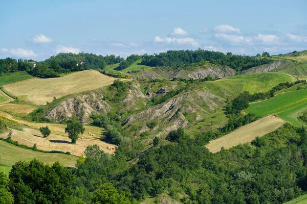 Landschaft Frühling Bei Rivalta Lesignano Bagni Parma Emilia Romagna Italien — Stockfoto