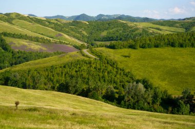 Bologna yakınlarındaki tepelerde kırsal alan, Emilia-Romagna. 