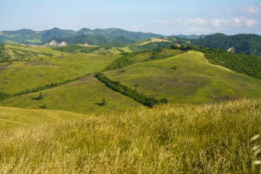 İlkbaharda Bologna, Emilia-Romagna, İtalya yakınlarındaki tepelerde kır manzarası