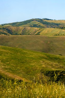 İlkbaharda Bologna, Emilia-Romagna, İtalya yakınlarındaki tepelerde kır manzarası