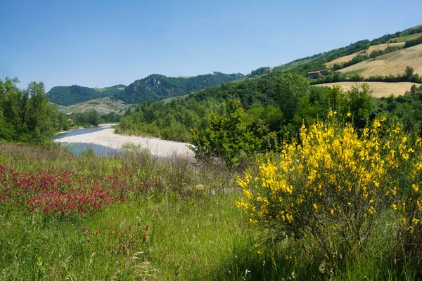 Paisaje Rural Cerca Pavullo Nel Frignano Provincia Módena Emilia Romaña — Foto de Stock