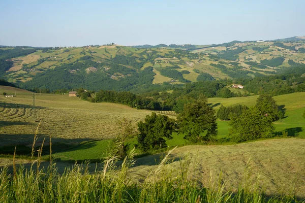 Landschap Langs Weg Van Gombola Naar Polinago Provincie Modena Emilia — Stockfoto