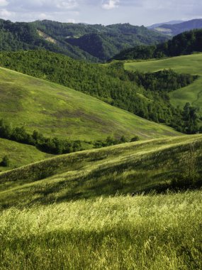 İlkbaharda Bologna, Emilia-Romagna, İtalya yakınlarındaki tepelerde kır manzarası