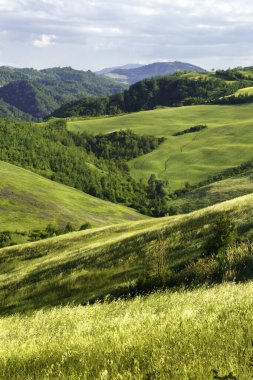 İlkbaharda Bologna, Emilia-Romagna, İtalya yakınlarındaki tepelerde kır manzarası