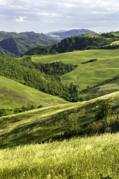 Landschap Heuvels Bij Bologna Emilia Romagna Italië Lente — Stockfoto