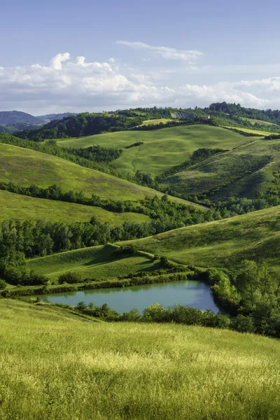 Krajina Kopcích Boloně Emilia Romagna Itálie Jaře — Stock fotografie