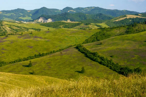 İlkbaharda Bologna, Emilia-Romagna, İtalya yakınlarındaki tepelerde kır manzarası