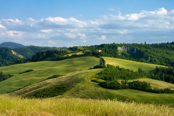 Krajina Kopcích Boloně Emilia Romagna Itálie Jaře — Stock fotografie