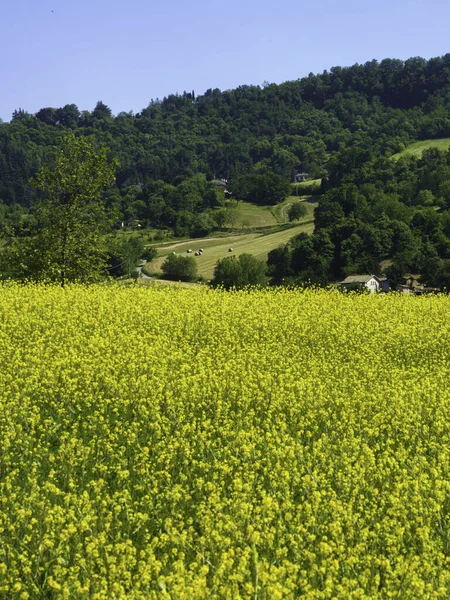 Lkbaharda Bologna Emilia Romagna Talya Yakınlarındaki Tepelerde Kır Manzarası — Stok fotoğraf