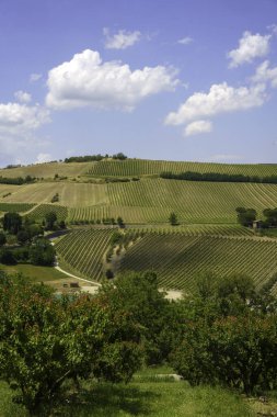 Emilia-Romagna, İtalya 'nın Ravenna eyaletindeki tepelerde, Riolo Terme ve Brisighella yakınlarındaki kırsal alan.