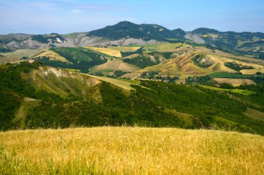 İlkbaharda Imola ve Riolo Terme yakınlarındaki Emilia-Romagna, İtalya 'nın Bologna eyaletindeki tepelerdeki kır manzarası