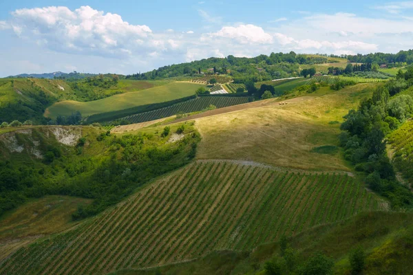 Paysage Rural Sur Les Collines Province Ravenne Emilie Romagne Italie — Photo